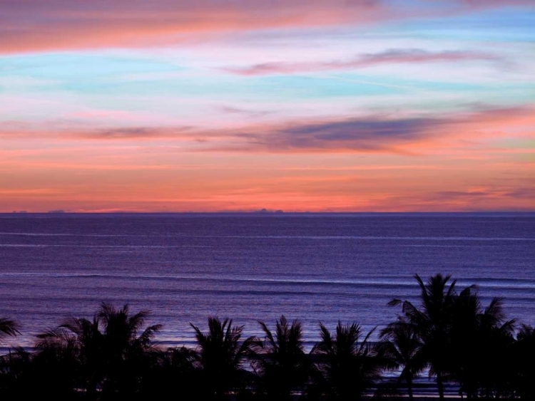 Picture of SEA BY PALM TREE AT DUSK, ELEVATED VIEW