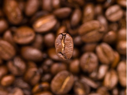 Picture of TOP VIEW OF COFFEE BEANS