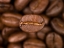 Picture of TOP VIEW OF COFFEE BEANS