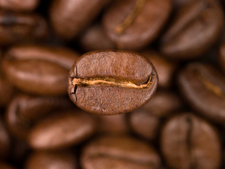 Picture of TOP VIEW OF COFFEE BEANS