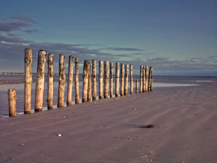 Picture of GROYNES AT AST HEAD BEACH, WEST SUSEX COAST