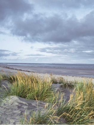 Picture of SAND DUNES AND GRASS, WEST WITTERING BEACH, UK