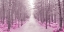 Picture of PATHWAY THROUGH AUTUMN FOREST, FTBR 1844