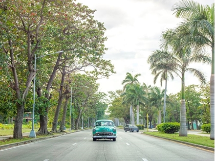 Picture of VINTAGE CAR ON A ROAD WITH PALM TREES, CUBA