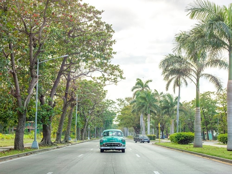 Picture of VINTAGE CAR ON A ROAD WITH PALM TREES, CUBA