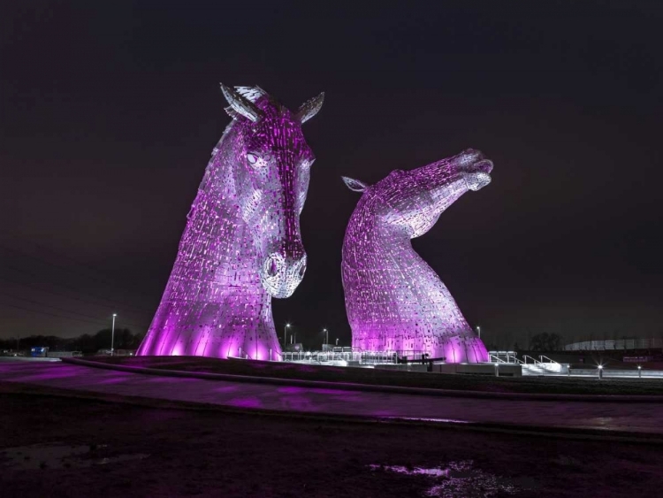 Picture of AF20150306 THE KELPIES 1310C02