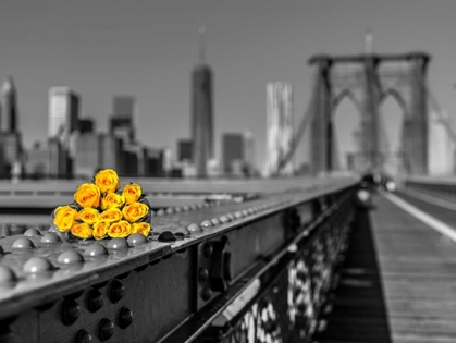 Picture of BUNCH OF ROSES ON BROOKLYN BRIDGE, NEW YORK