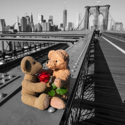 Picture of PAIR OF TEDDY BEARS WITH A RED ROSE ON BROOKLYN BRIDGE, NEW YORK