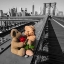 Picture of PAIR OF TEDDY BEARS WITH A RED ROSE ON BROOKLYN BRIDGE, NEW YORK