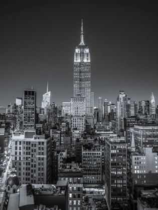 Picture of EMPIRE STATE BUILDING WITH NEW YORK CITY MANHATTAN SKYLINE WITH SKYSCRAPERS