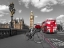 Picture of BICYCLE WITH BUNCH OF FLOWERS ON WESTMINSTER BRIDGE, LONDON, UK