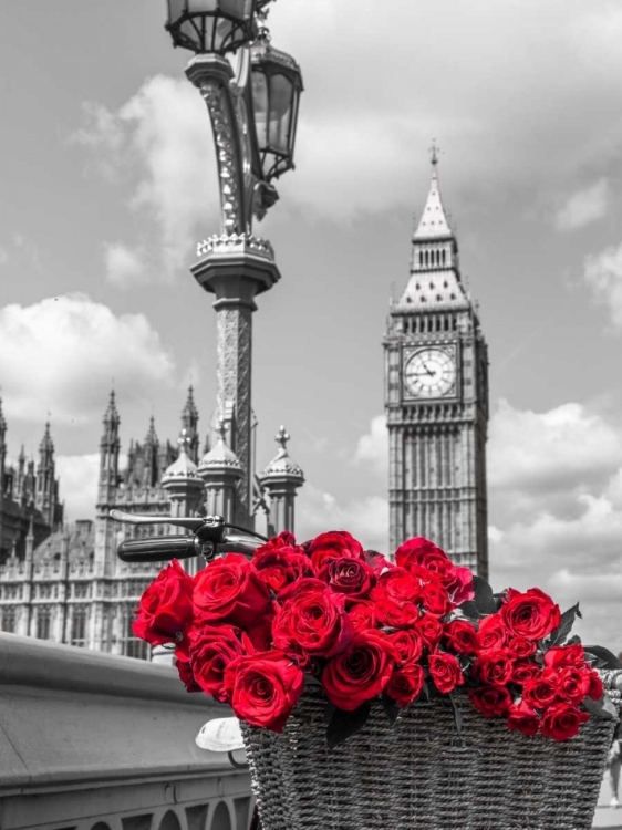 Picture of BICYCLE WITH BUNCH OF FLOWERS ON WESTMINSTER BRIDGE, LONDON, UK