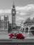 Picture of TEDDY BEAR AND BUNCH OF ROSES ON THAMES PROMENADE AGAISNT WESTMINSTER ABBY, LONDON, UK