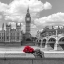 Picture of BUNCH OF ROSES AND HAT ON THAMES PROMENADE AGAISNT BIG BEN, LONDON, UK