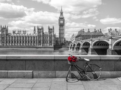 Picture of BUNCH OF ROSES ON A BICYCLE AGAISNT WESTMINSTER ABBY, LONDON, UK