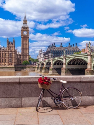 Picture of BUNCH OF ROSES ON A BICYCLE AGAISNT WESTMINSTER ABBY, LONDON, UK