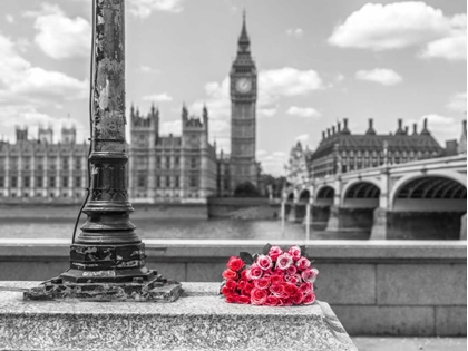 Picture of BUNCH OF ROSES BY A LAMPOST, LONDON, UK