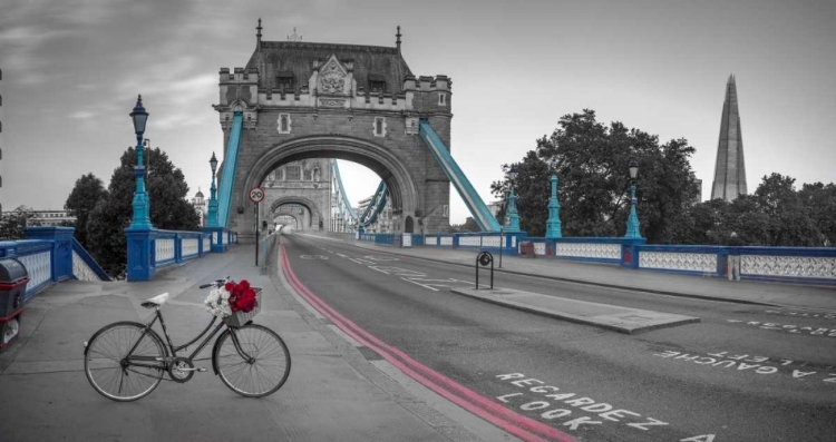 Picture of BUNCH OF ROSES ON A BICYCLE NEAR TOWER BRIDGE, LONDON, UK