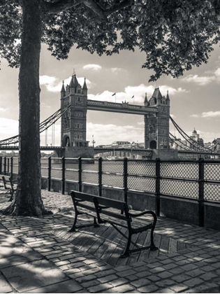 Picture of THAMES PROMENADE WITH TOWER BRIDGE IN BACKGROUND, LONDON, UK