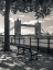 Picture of THAMES PROMENADE WITH TOWER BRIDGE IN BACKGROUND, LONDON, UK