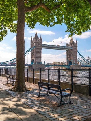 Picture of THAMES PROMENADE WITH TOWER BRIDGE IN BACKGROUND, LONDON, UK