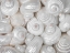Picture of MIXED PEARLY SEA SHELLS CLOSE-UP