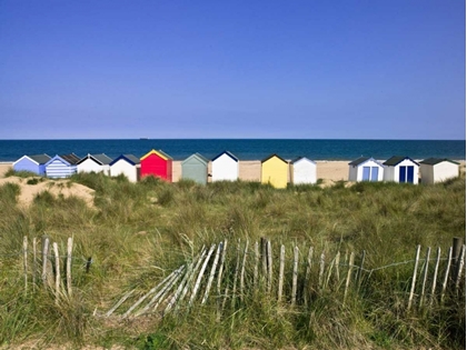 Picture of BEACH HUTS IN A ROW