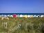 Picture of BEACH HUTS IN A ROW