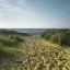 Picture of BEACH HUTS IN A ROW