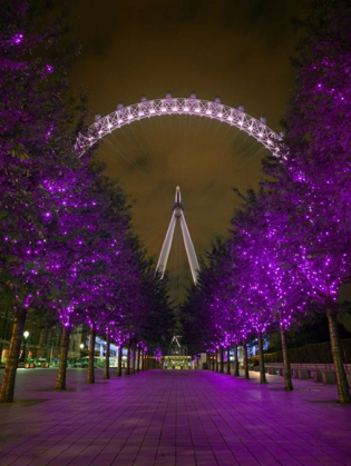 Picture of LONDON EYE AT NIGHT