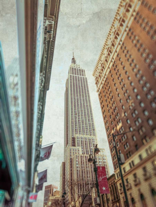 Picture of LOW ANGLE SHOT OF A EMPIRE STATE BUILDING - NEW YORK