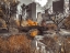 Picture of GAPSTOW BRIDGE IN AUTUMN, CENTRAL PARK, NEW YORK CITY, FTBR-1801