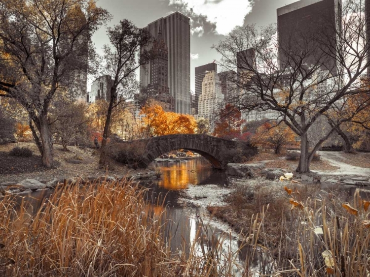 Picture of GAPSTOW BRIDGE IN AUTUMN, CENTRAL PARK, NEW YORK CITY, FTBR-1801