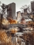 Picture of GAPSTOW BRIDGE IN AUTUMN, CENTRAL PARK, NEW YORK CITY, FTBR-1802