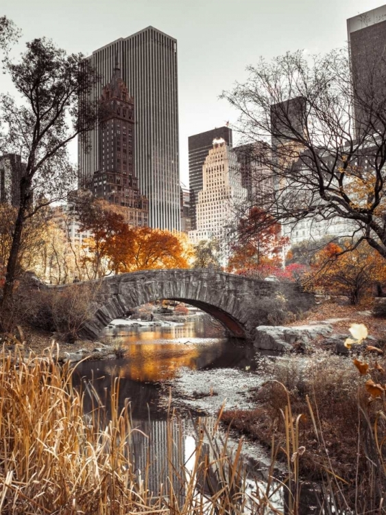 Picture of GAPSTOW BRIDGE IN AUTUMN, CENTRAL PARK, NEW YORK CITY, FTBR-1802