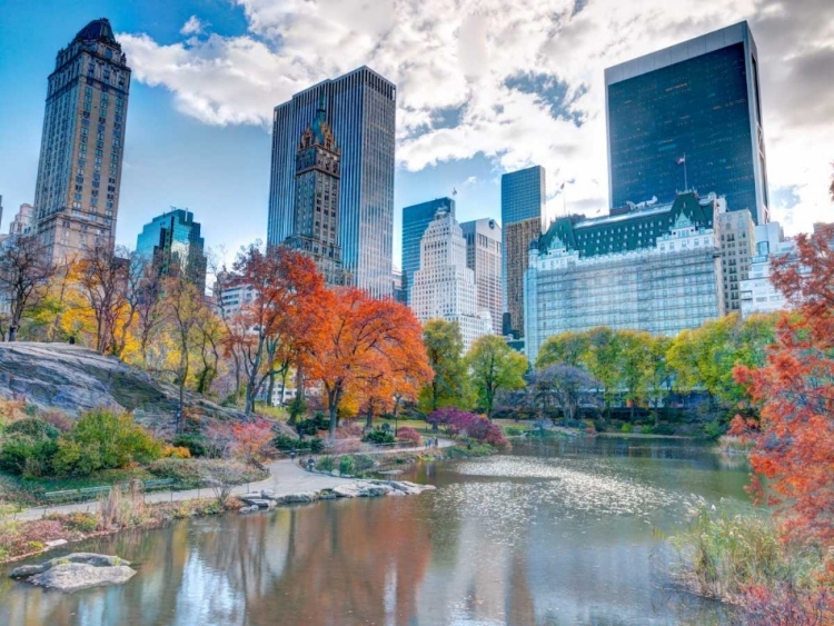 Picture of POND AT CENTRAL PARK WITH MANHATTAN SKYLINE, NEW YORK