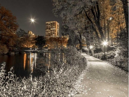 Picture of EVENING VIEW OF CENTRAL PARK IN NEW YORK CITY