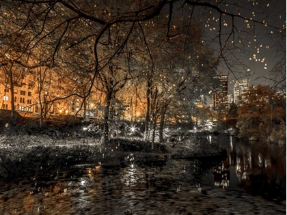 Picture of EVENING VIEW OF CENTRAL PARK IN NEW YORK CITY