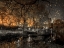 Picture of EVENING VIEW OF CENTRAL PARK IN NEW YORK CITY