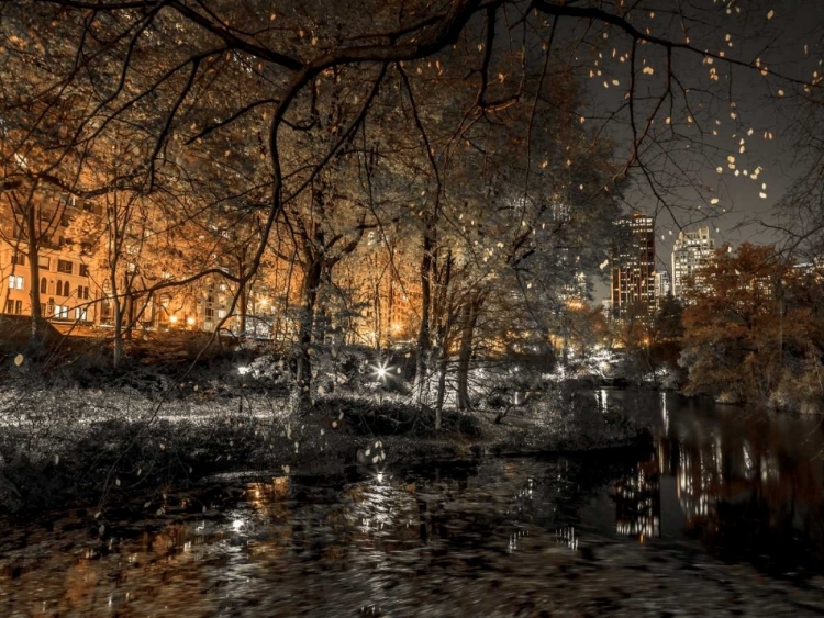 Picture of EVENING VIEW OF CENTRAL PARK IN NEW YORK CITY