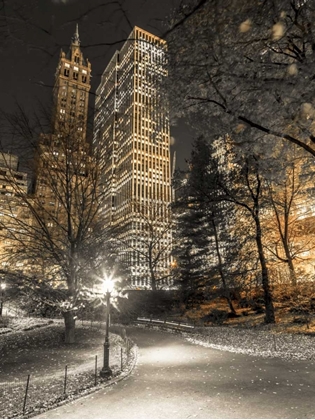 Picture of EVENING VIEW OF CENTRAL PARK IN NEW YORK CITY