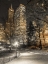Picture of EVENING VIEW OF CENTRAL PARK IN NEW YORK CITY