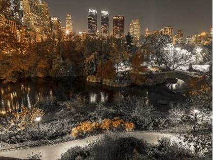 Picture of EVENING VIEW OF CENTRAL PARK IN NEW YORK CITY