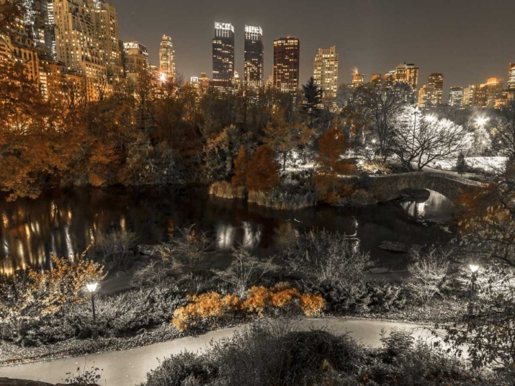 Picture of EVENING VIEW OF CENTRAL PARK IN NEW YORK CITY