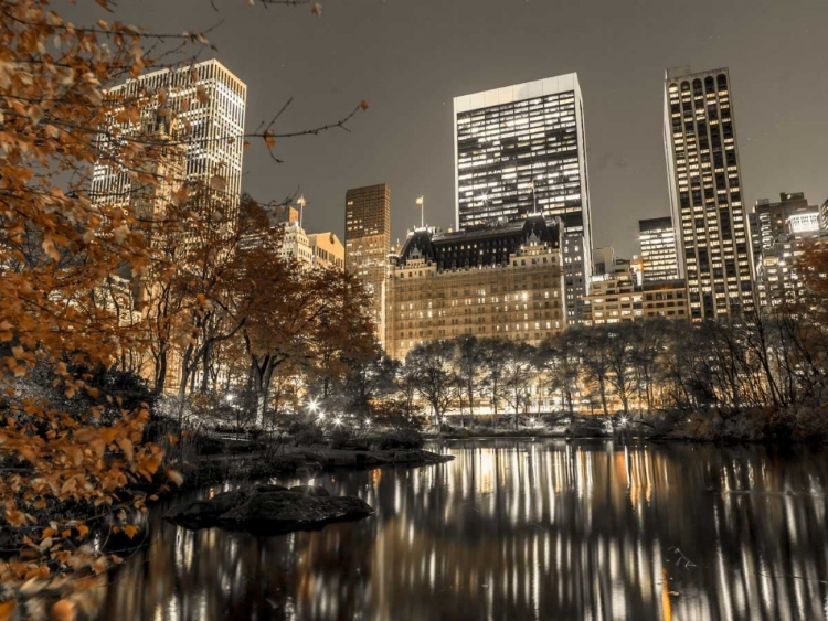 Picture of EVENING VIEW OF CENTRAL PARK IN NEW YORK CITY