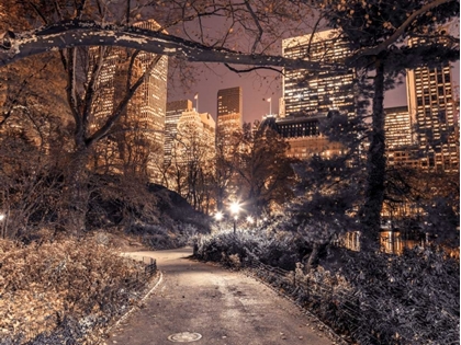 Picture of EVENING VIEW OF CENTRAL PARK IN NEW YORK CITY