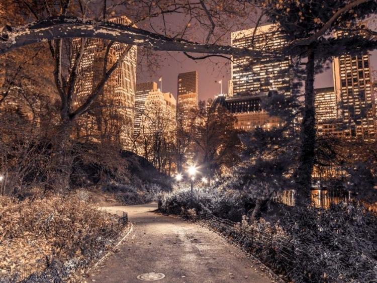 Picture of EVENING VIEW OF CENTRAL PARK IN NEW YORK CITY