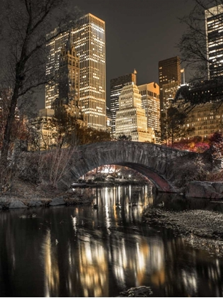 Picture of EVENING VIEW OF CENTRAL PARK IN NEW YORK CITY