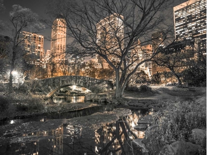 Picture of EVENING VIEW OF CENTRAL PARK IN NEW YORK CITY