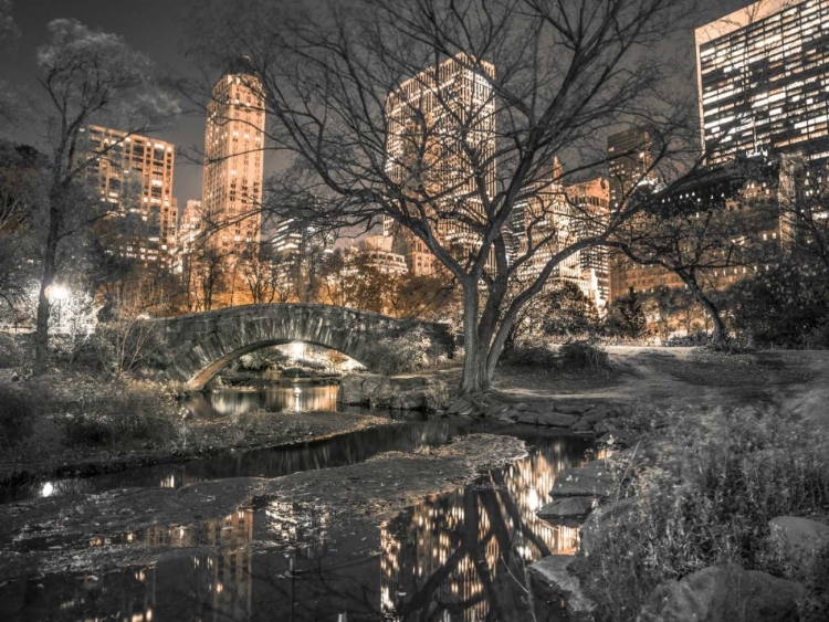 Picture of EVENING VIEW OF CENTRAL PARK IN NEW YORK CITY